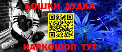 индика Гусь-Хрустальный