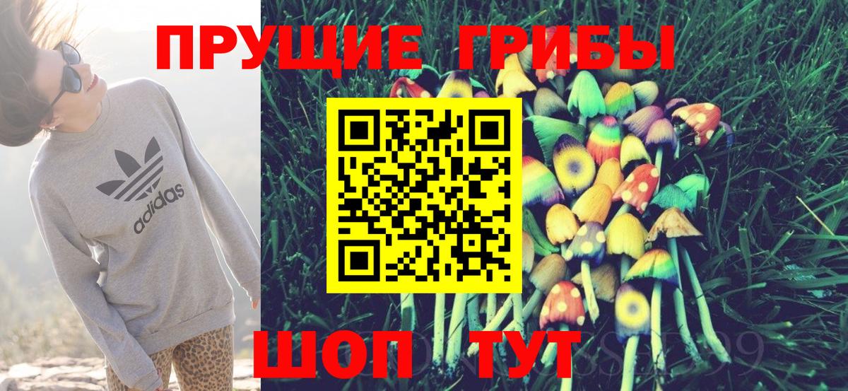 Псилоцибиновые грибы Cubensis  Вход с VPN  закладки  Новокуйбышевск  Галлюциногенные грибы Cubensis 
